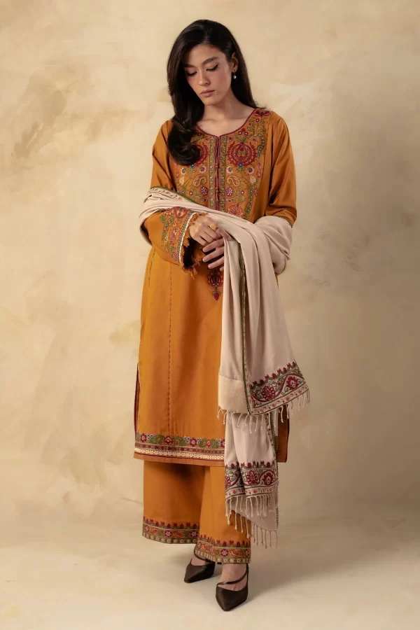 Zara Shahjahan Coco Winter 2023-5A