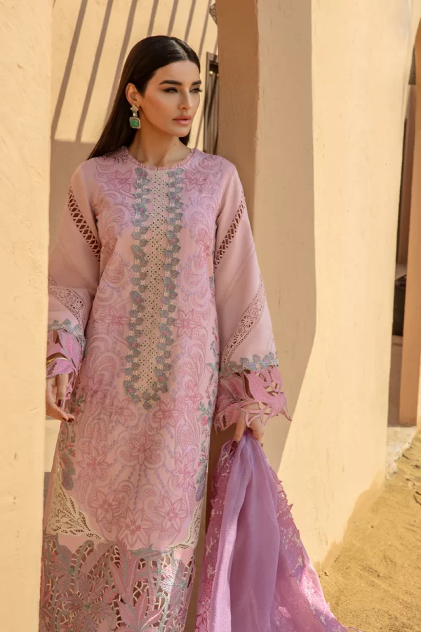 Rang Rasiya Premium Lawn '24-AYLEEN - Image 2