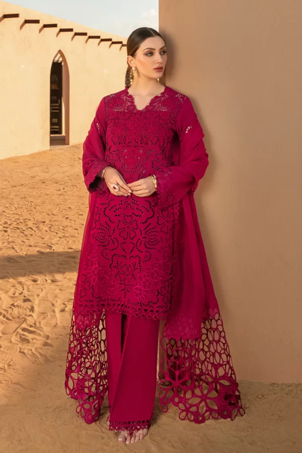 Rang Rasiya Premium Lawn '24-RAMEEN - Image 3