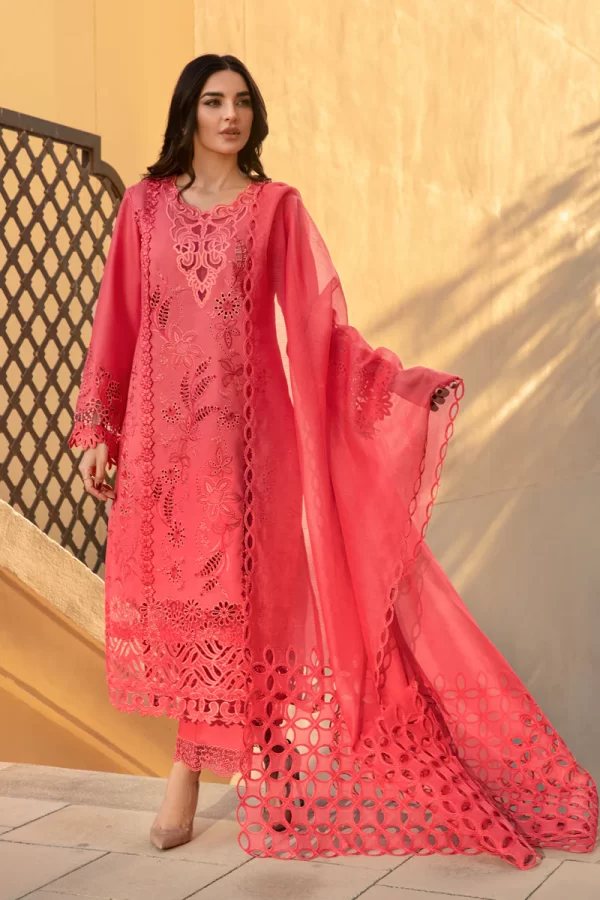 Rang Rasiya Premium Lawn '24-NATALIA