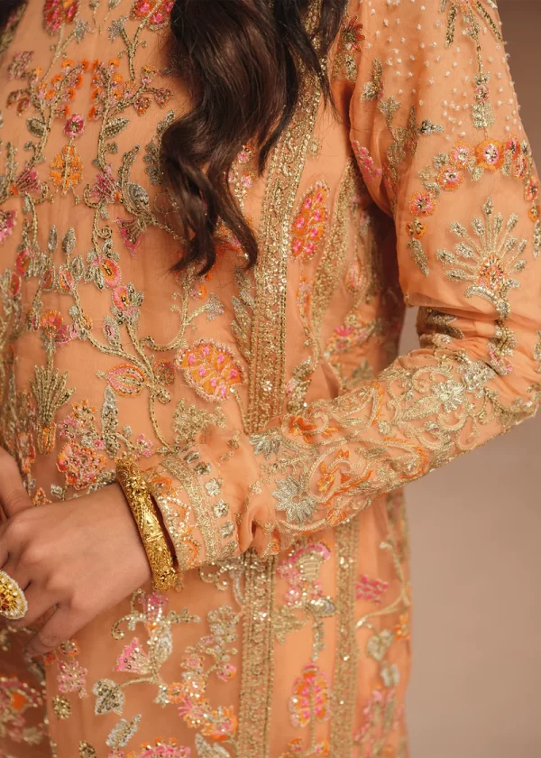 Ali Xeeshan Wedding Dresses-Rubab - Image 2