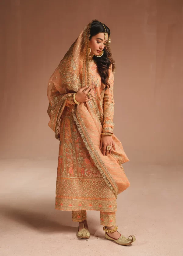 Ali Xeeshan Wedding Dresses-Rubab