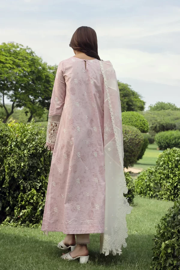 Festive Lawn Collection'24 By Qalamkar-FARVA - Image 3