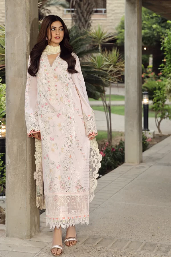 Festive Lawn Collection'24 By Qalamkar-IRSA