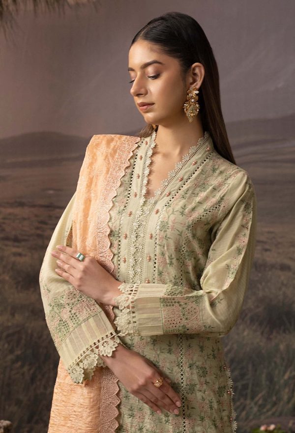 Adan's Chikankari'02 By Adans Libas-7612 - Image 2