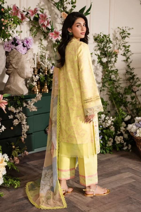 Lifestyle Embroidered Edit’24 By Rang Rasiya-SUN KISSED - Image 3