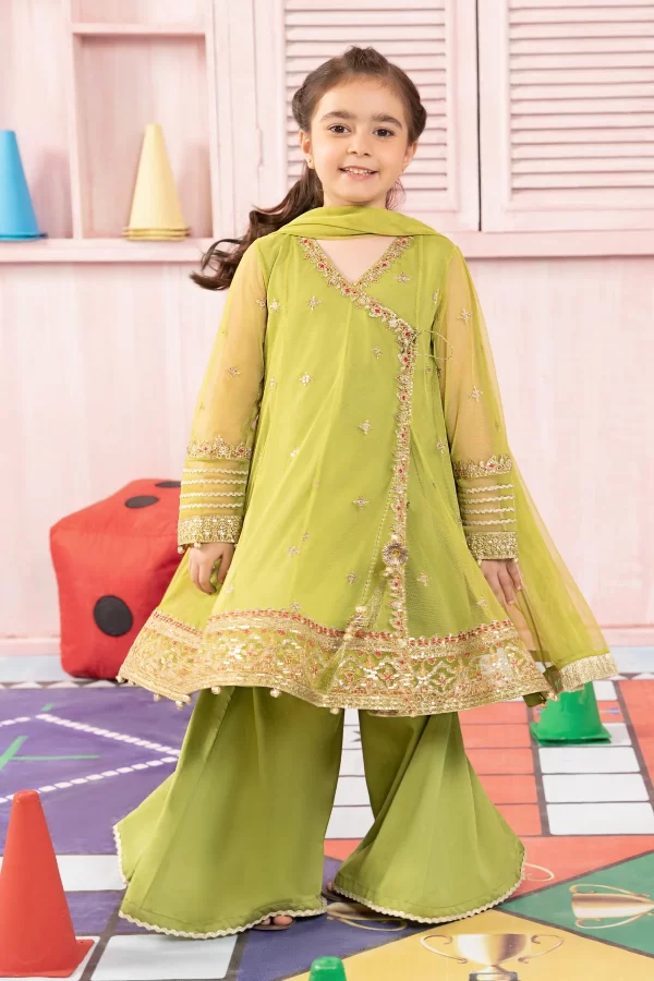 3 Piece Embroidered Net Suit | 05 - Image 2