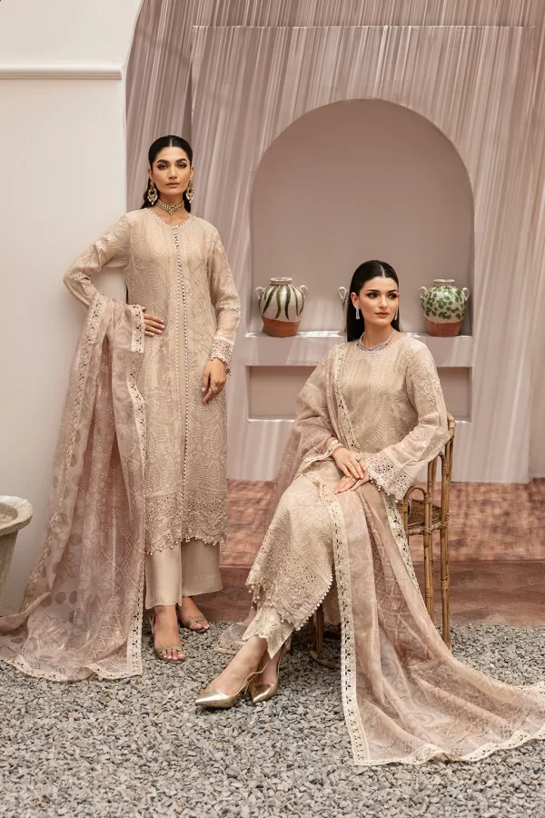 RAMSHA Dastaan Chiffon collection-K202 - Image 3