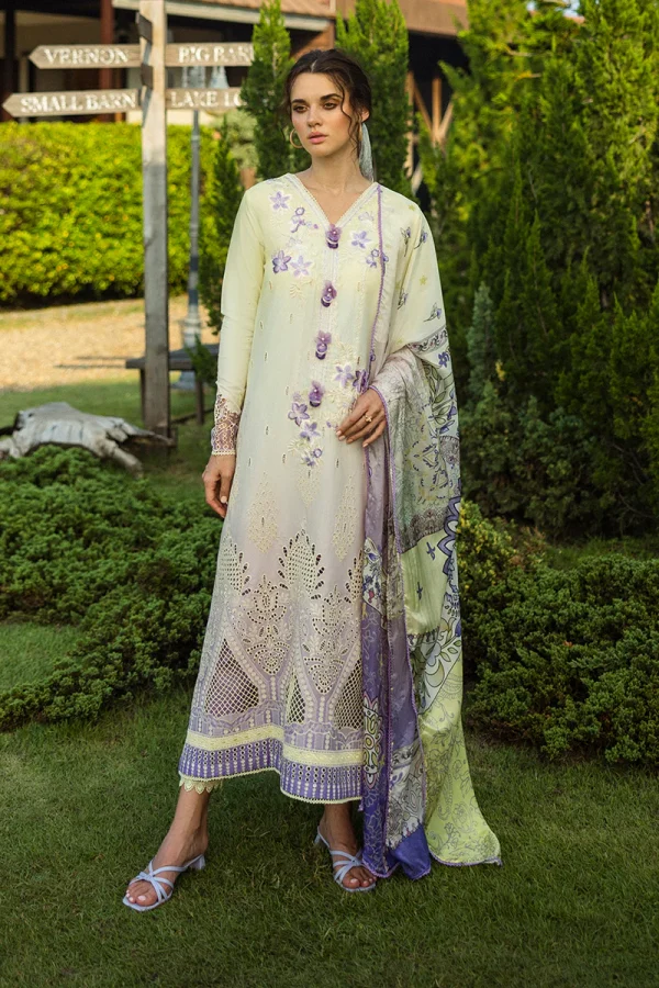 Mushq Solace Ombre Chikankari '25-Gioia