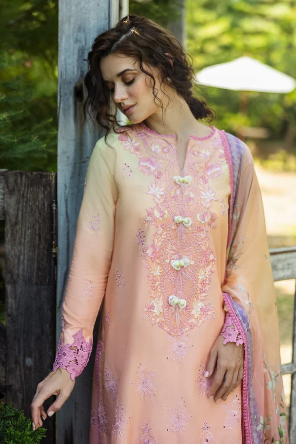 Mushq Solace Ombre Chikankari '25-Risate - Image 3