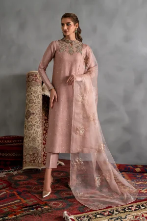 IZNIK  Embroidered Chiffon' 25' IRS-15