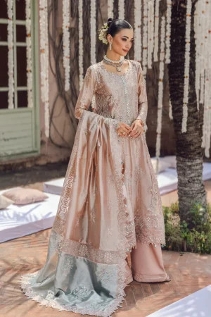 RANG RASYA Wedding Formals'25' Nayab