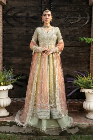RANG RASIYA Wedding Formals'25' Amil