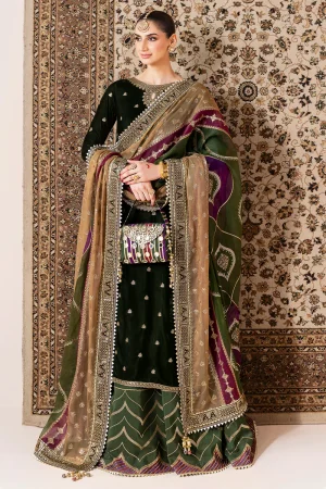 JAZMIN Chandni Embroidered Velvet Formal' 25' CVF D-09