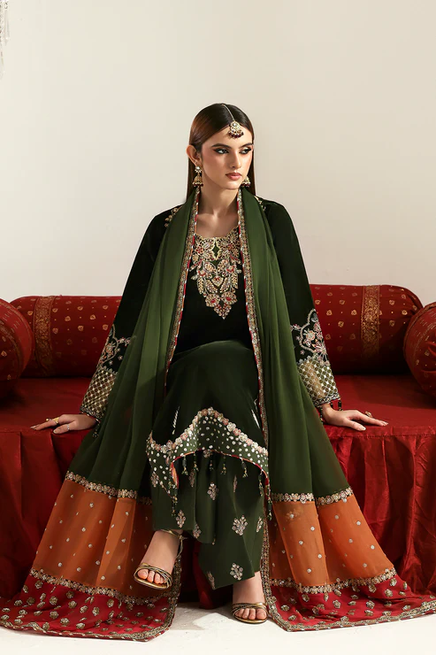 EMAAN ADEEL Zarposh Velvet Collection '25' Aarish