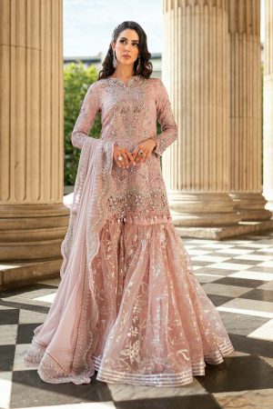 Maria B Soiree Festive edit '25-WF-09-05-Nude Pink