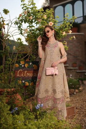 Noor Luxury Eid Schiffli Laserkari '26 D9 - B - Velisse