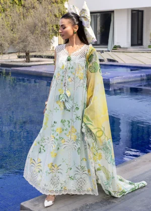 Crimson Flow Lanw '26-TROPIC TEASE - D4B