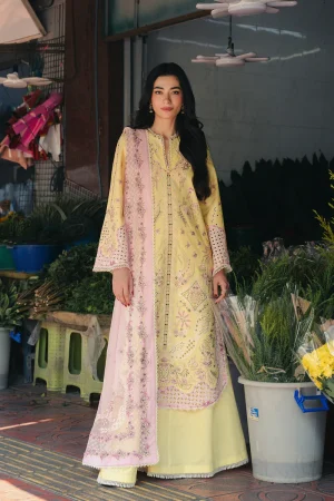 Afrozeh Mulaqaat Lawn '26-Lamha