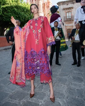 Mushq Odyssey Lawn '26-Nicolas