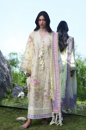 Suffuse Lawn '26-TELYA