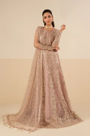 Alizeh Formals '26-AF-NT-2256-Roshni