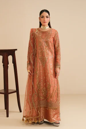 Alizeh Formals '26-AF-NT-2258-Dilkash