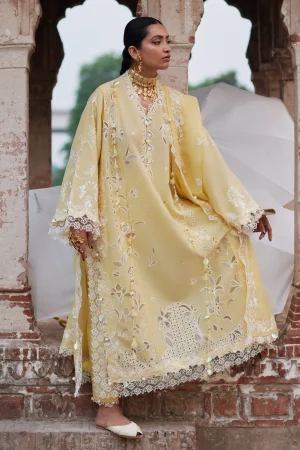Elan Lawn '26-NOORAI (EL26-06 B)