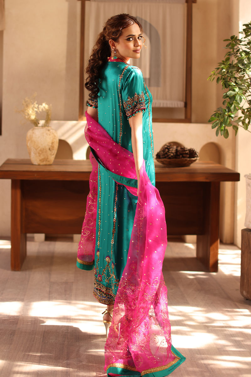 sabrangee formals -Sumbul - Image 4