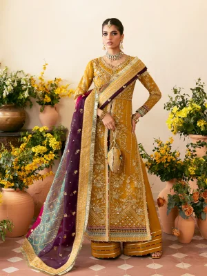 GULAAL Chaandni , Nayaara , Wedding Embroiderd Collection, 26