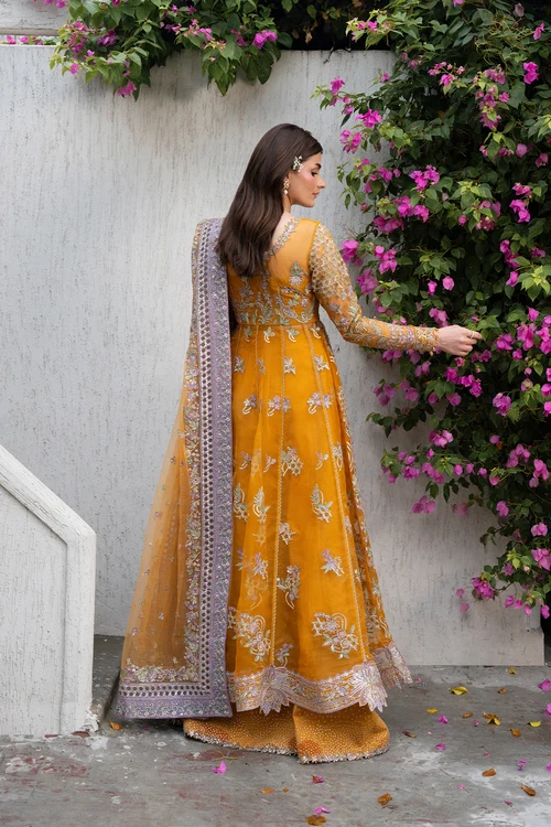 Ayzel Pehli Nazar Festive '26-Zarafshan - Image 2