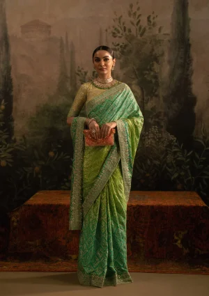 AIK Atelier AIKSE Sari Edit - Look A2507