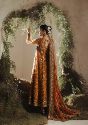 aik-shaam-26-vol-3-look-06-5