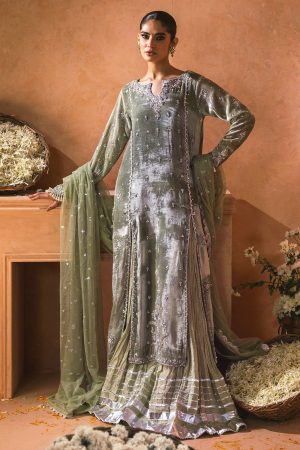 sabrangee velvet formals -Raajya