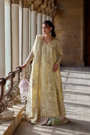 Afrozeh Dastangoi Wedding collection '26-Afsaan
