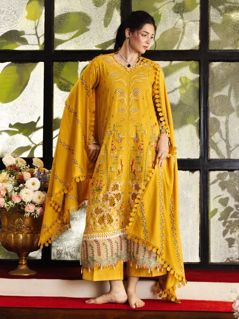 Parishay The Royal Galleria winter collection -RG-RG-03 - Image 3