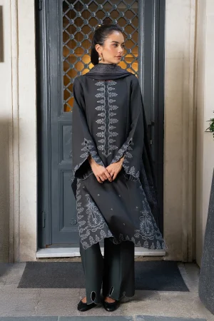 Rang Rasiya winter Collection '26-Slate