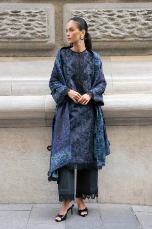 Rang Rasiya winter Collection '26-Raven