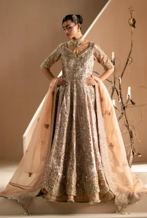 AJR Signature Wedding Formals '26-Rang E Noor