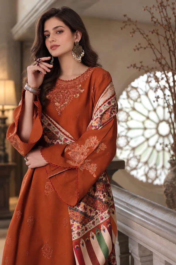 Noor Printkhas winter '26-D10 B - Burnt Terracotta - Image 3