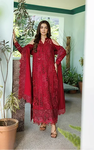Asifa and Nabeel Plush Luxury winter '26-Velvet Aria
